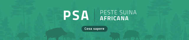 PESTE SUINA AFRICANA COSA FARE E COME COMPORTARSI
